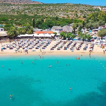 Olisea Villa, Olive Grove Seaview